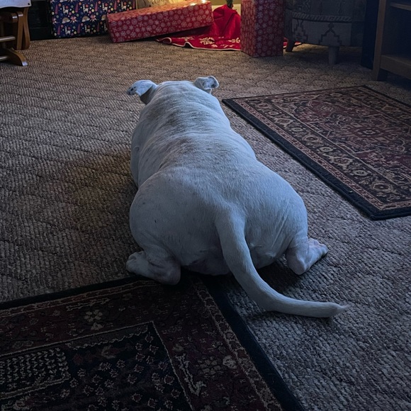 Meet your Posher, Pamela - Picture 14 of 16